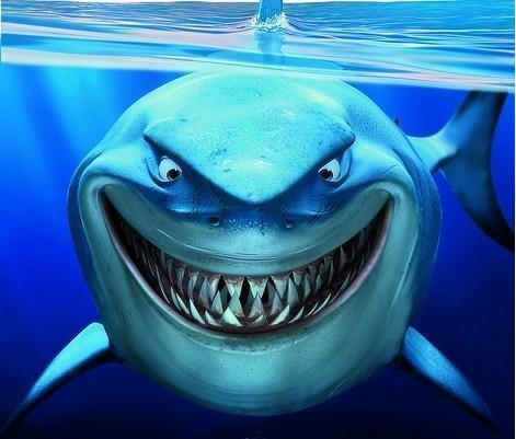 明星金鲨的图片,海洋深处的璀璨明珠