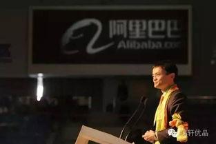 马云最新爆料视频创业,最新创业趋势与成功秘诀