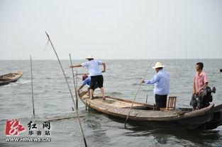 通道县渔政 红网,守护水域生态，红网助力宣传与监督