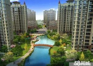 华府政治在线观看,揭秘美国政治风云