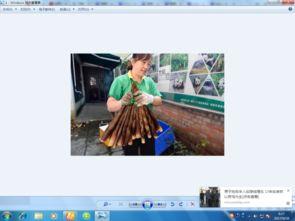 头条不能保存图片吗,为何无法保存图片，揭秘背后原因