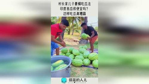 豪横吃瓜法,揭秘娱乐圈幕后风云