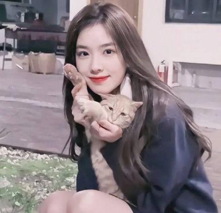 网红辛巴和衣哥哪个厉害,谁是网络红人界的佼佼者？