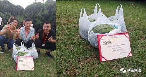 顶级吃瓜大赛冠军,揭秘顶级吃瓜大赛冠军的瓜界传奇