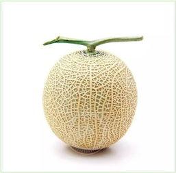 定制圈吃瓜,揭秘幕后故事，带你领略行业风云