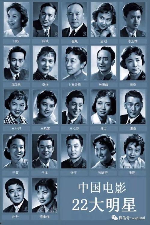中国明星最多的电影,中国明星云集的影视巨作盘点
