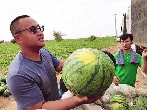 每日搞笑吃瓜,吃瓜群众狂欢记