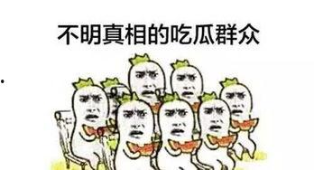 小申现在吃瓜,揭秘娱乐圈最新热点