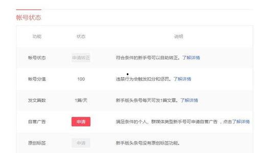 头条号广告号怎么开,全方位攻略与操作指南