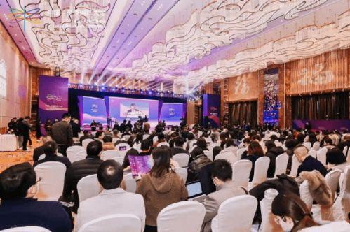 网红大会怎么样,揭秘数字时代内容创造与传播的盛会