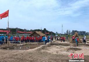 石门县宝塔镇新闻头条,聚焦乡村振兴，共绘美好家园新画卷