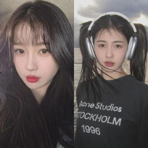 明星头像虞书欣白鹿,青春偶像的璀璨星途